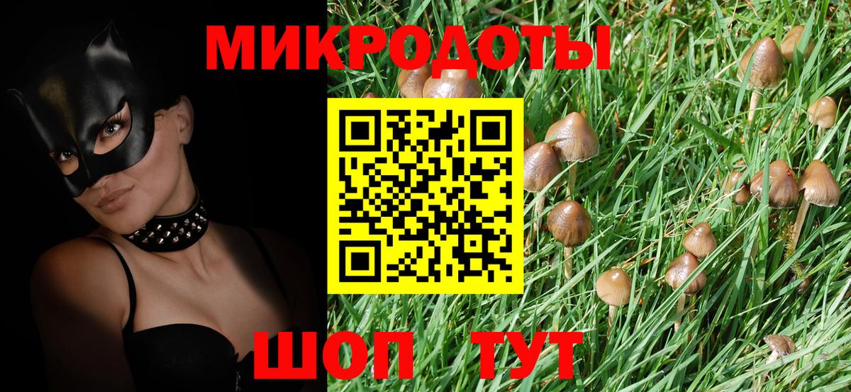 Домодедово  Галлюциногенные грибы GOLDEN TEACHER  Вход с VPN  Галлюциногенные грибы Cubensis 